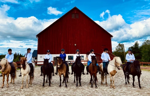 Horseback riding as a team (everyone survived!)
