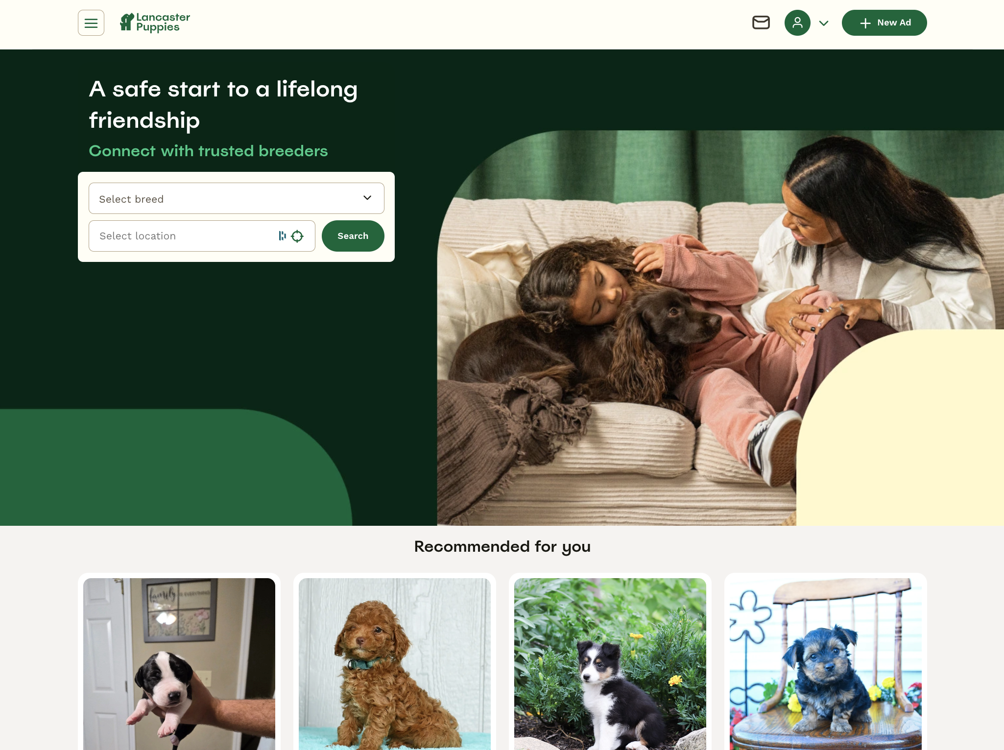 Lancaster Puppies homepage