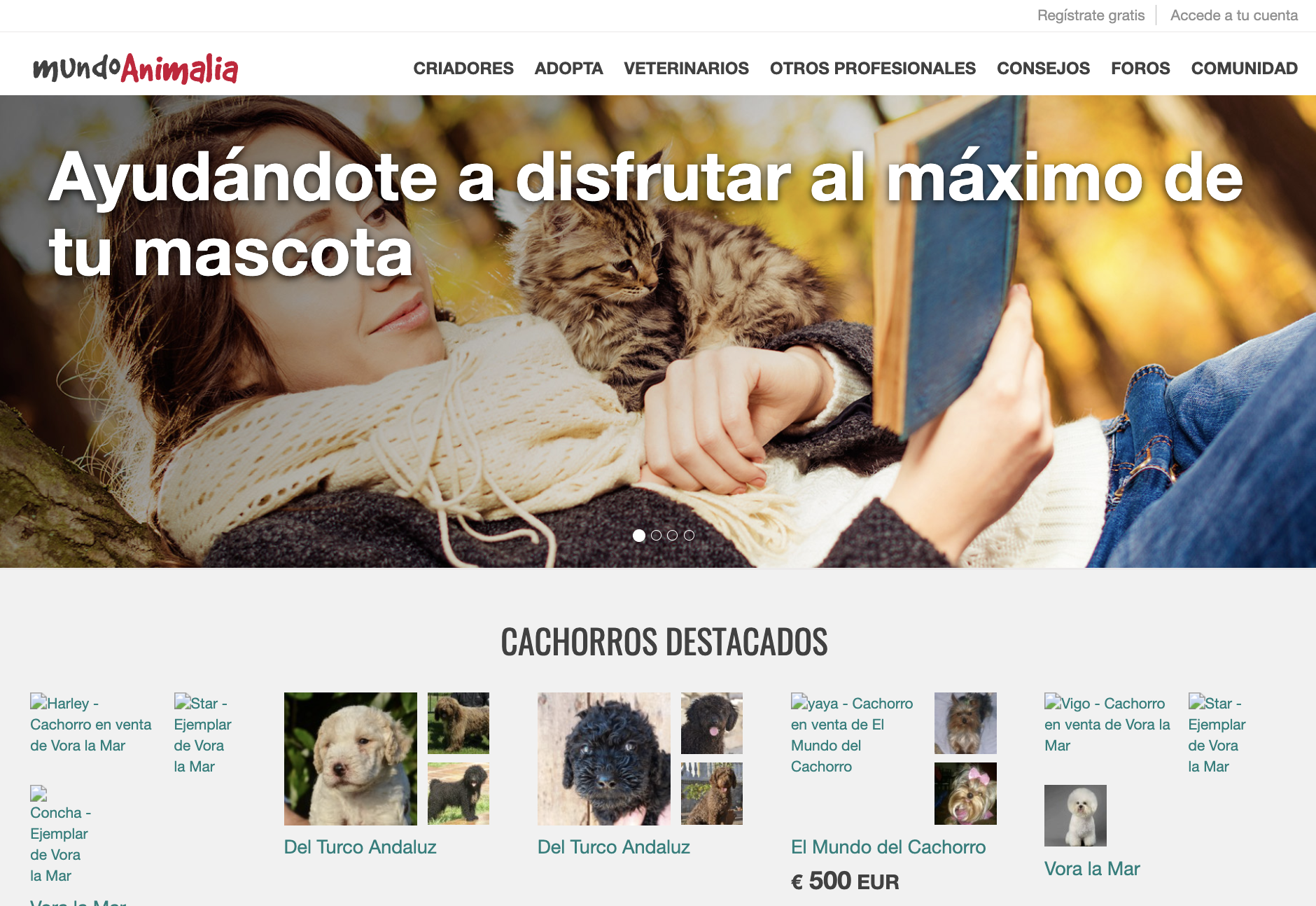 Mundo Animalia website before the acquisition